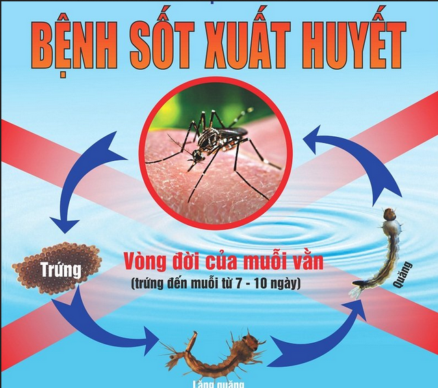mau-in-to-roi-sot-xuat-huyet